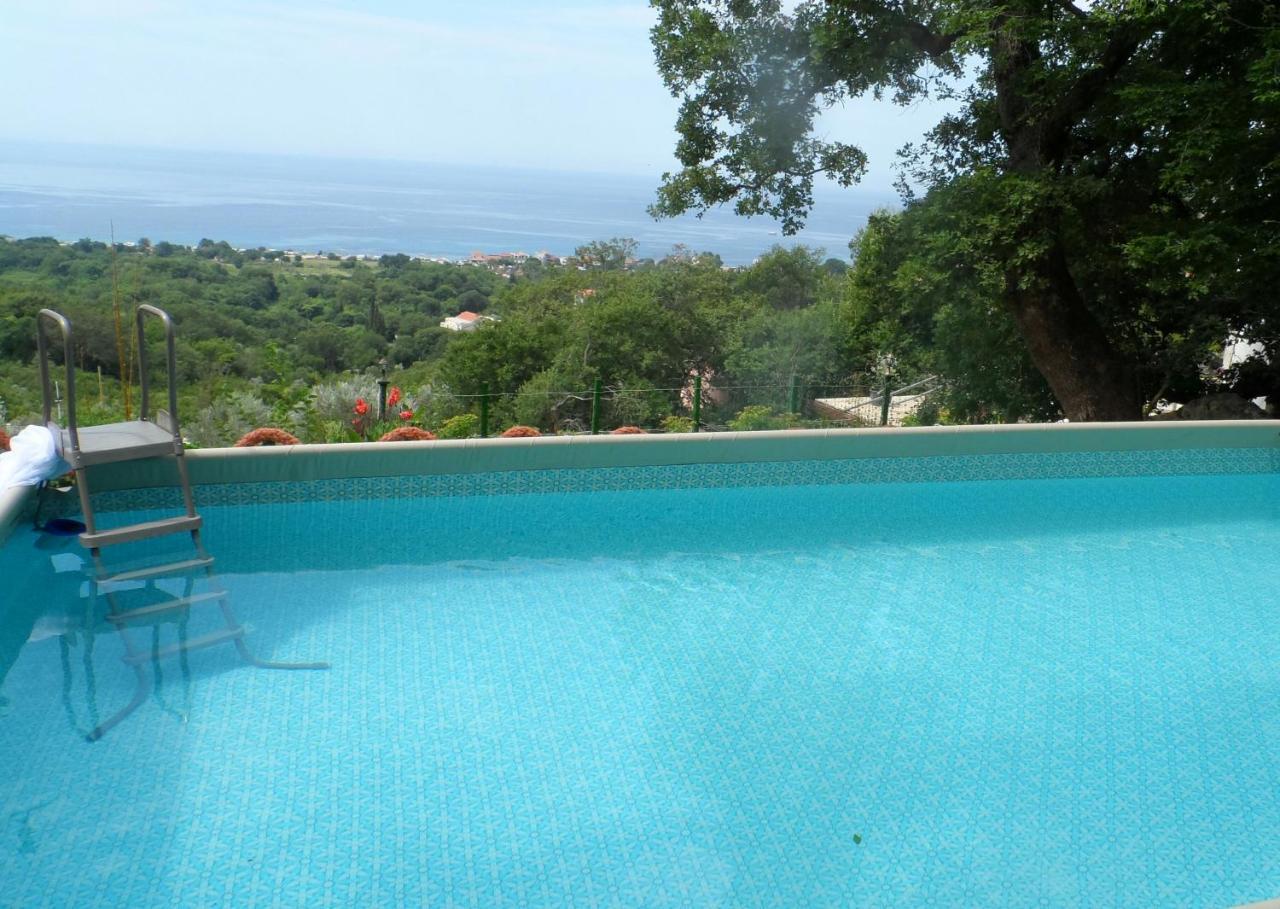 Pataki Guesthouse Petrovac ภายนอก รูปภาพ