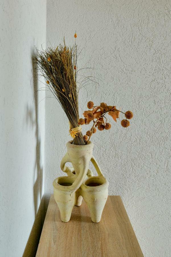 Pataki Guesthouse Petrovac ภายนอก รูปภาพ