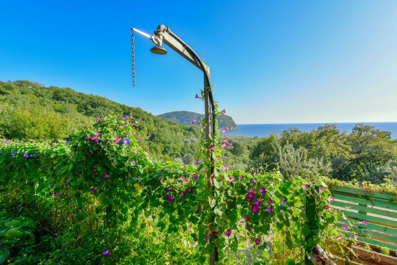 Pataki Guesthouse Petrovac ภายนอก รูปภาพ