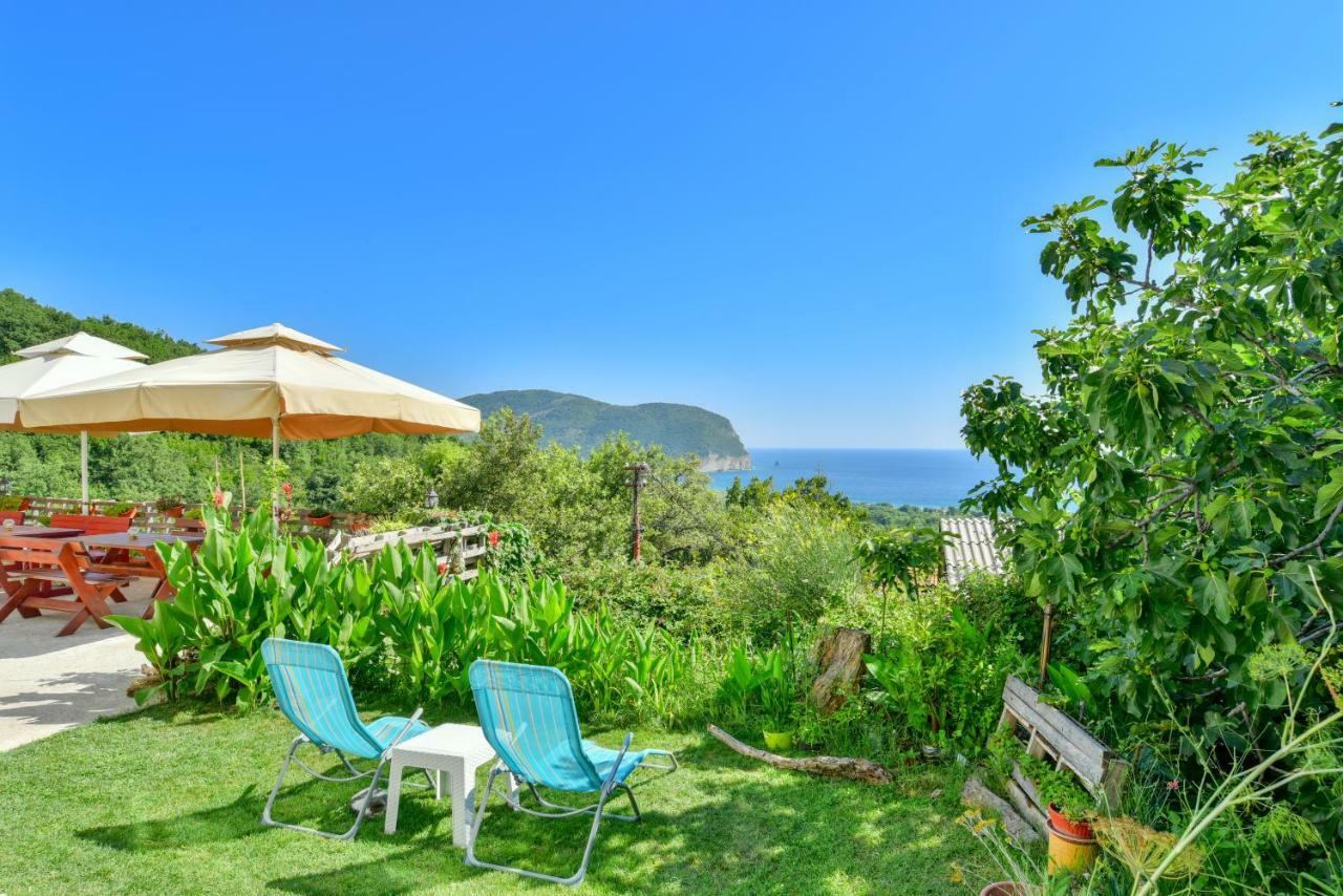 Pataki Guesthouse Petrovac ภายนอก รูปภาพ